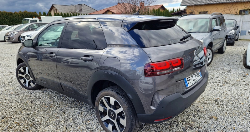 Citroen C4 Cactus cena 54900 przebieg: 35000, rok produkcji 2019 z Sulechów małe 154